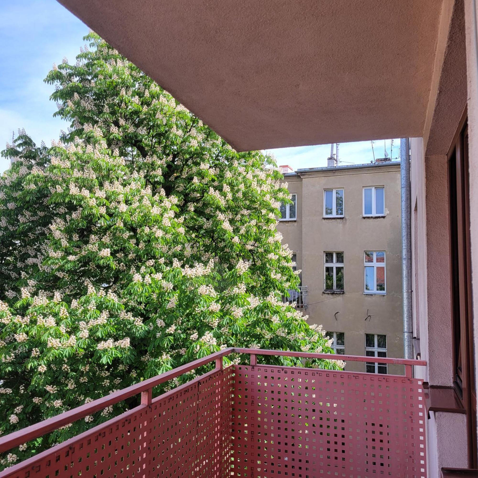 Aura Apartment Wrocław Exterior foto